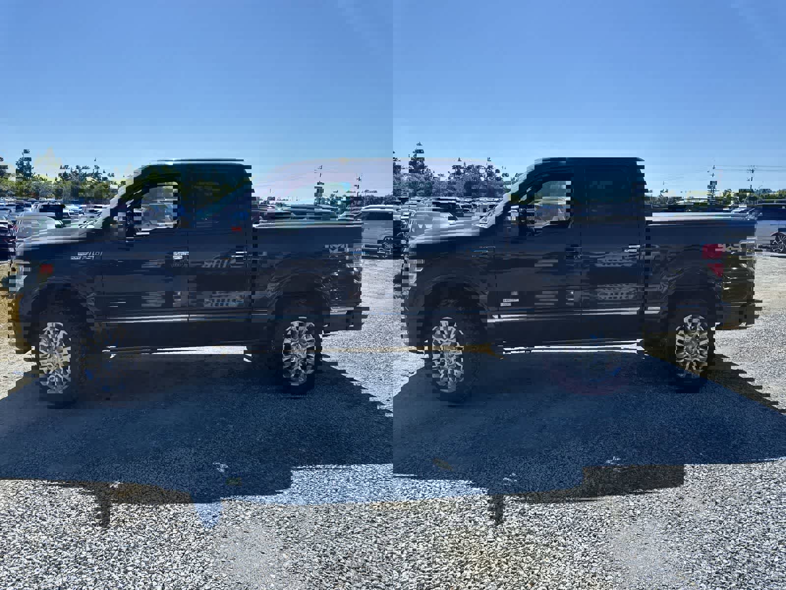 Used 2013 Ford F150 Platinum AWD/4WD image 7