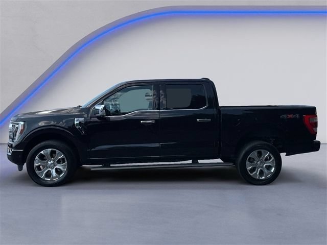 Used 2023 Ford F150 Platinum w/ Equipment Group 701A High AWD/4WD image 7