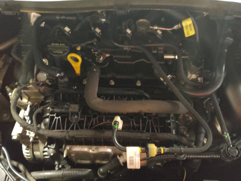 Used 2019 Ford Escape SEL image 30