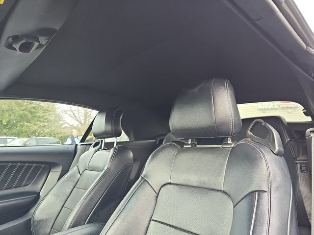 Used 2016 Ford Mustang GT Premium w/ Equipment Group 401A image 13