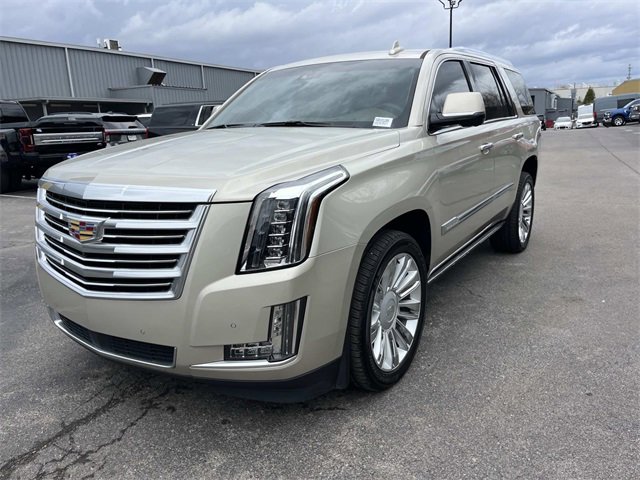 Used 2016 Cadillac Escalade Platinum image 7