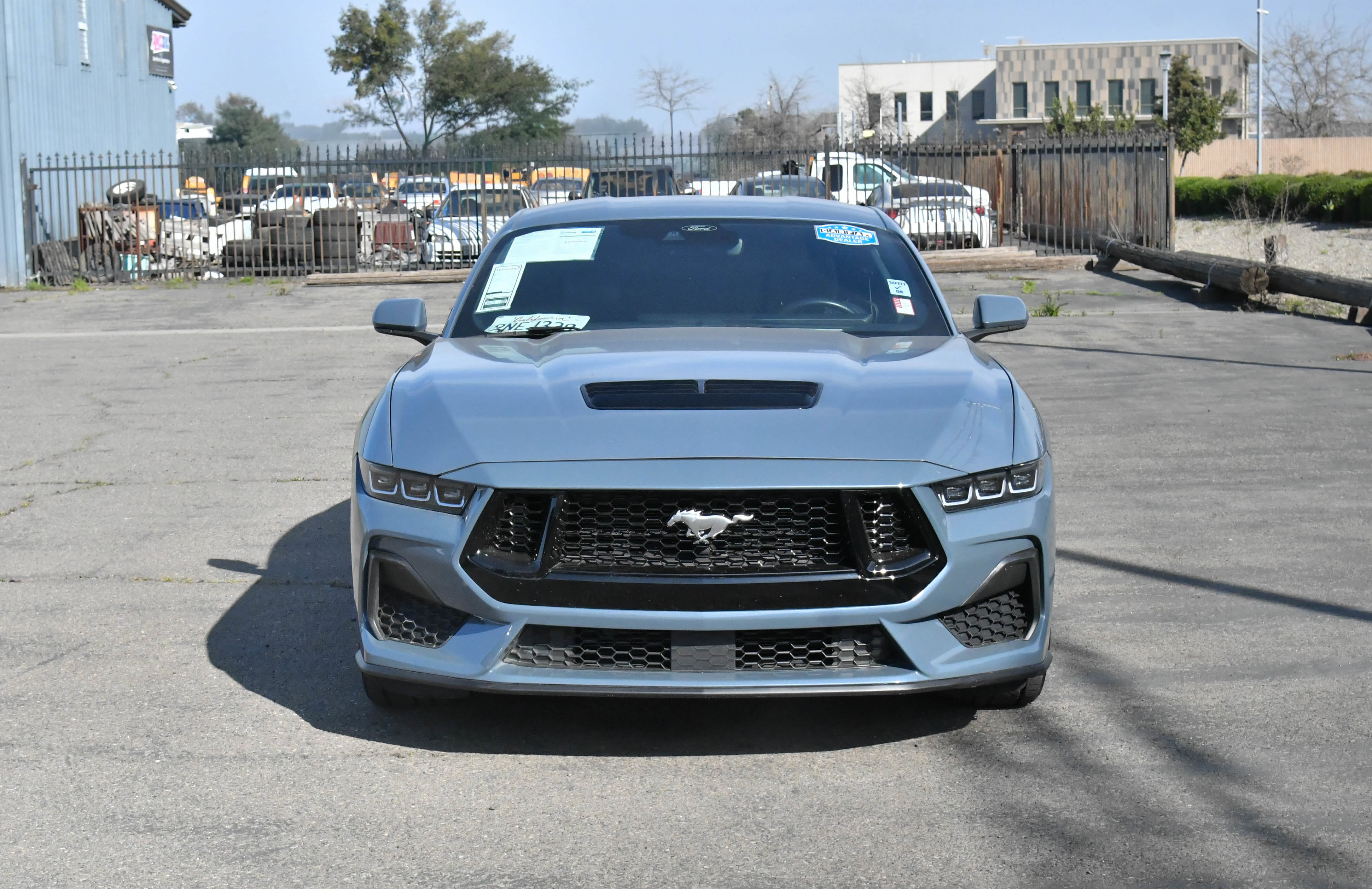 Used 2024 Ford Mustang GT Premium image 2