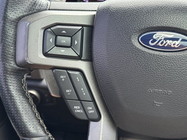 Used 2017 Ford F150 Raptor w/ Equipment Group 802A Luxury AWD/4WD image 19