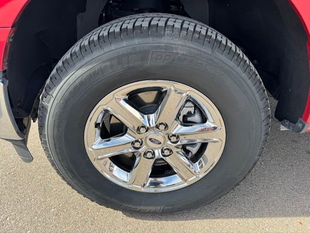 Used 2024 Ford F150 XLT w/ Equipment Group 302A MID image 12