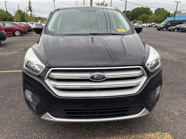 Used 2019 Ford Escape SE AWD/4WD image 8