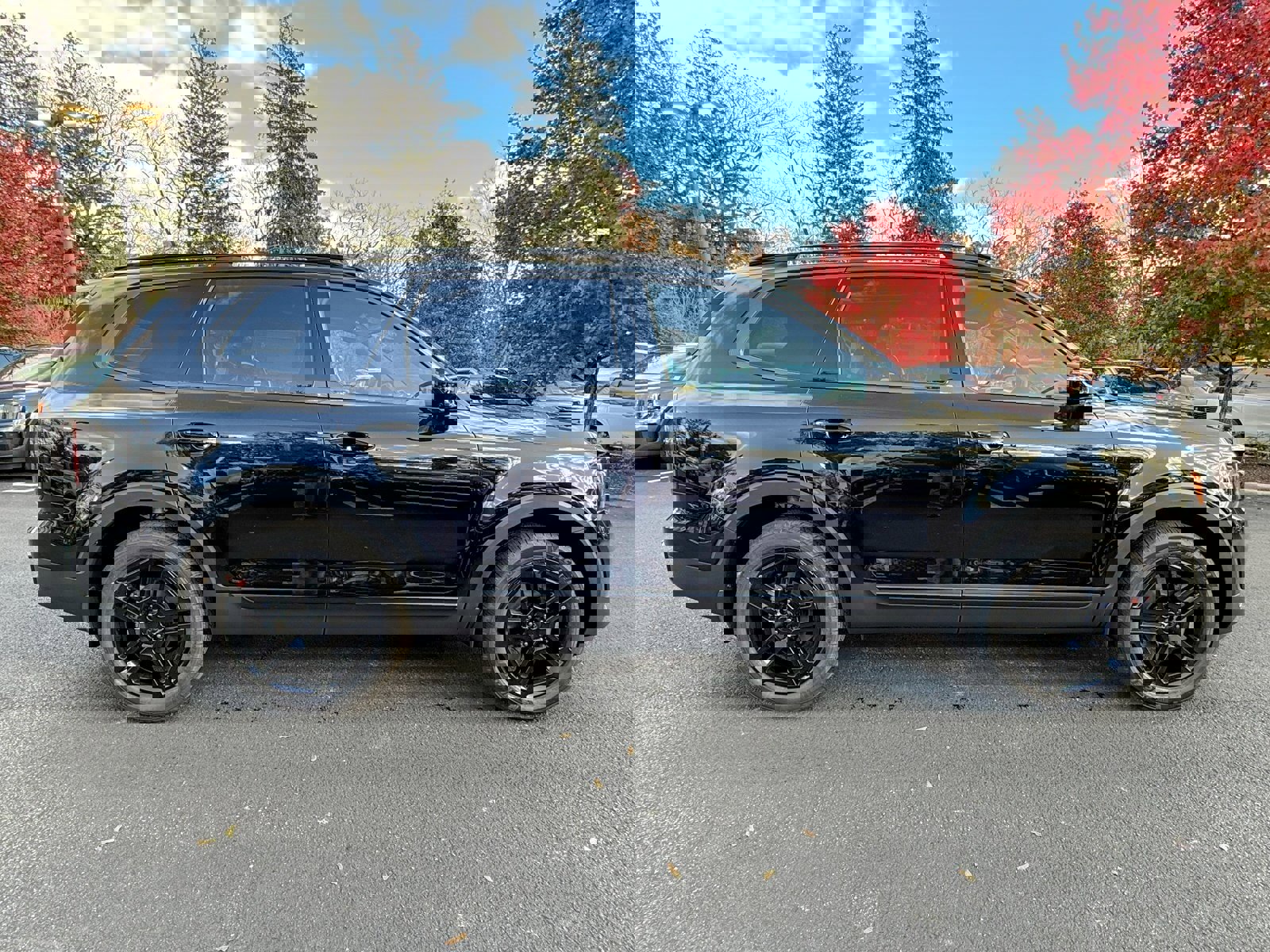 New 2025 Kia Telluride SX X-Line image 8