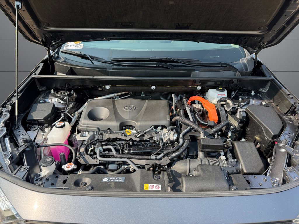 Certified 2025 Toyota RAV4 XLE AWD/4WD image 20