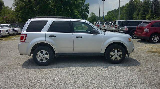 Used 2011 Ford Escape XLT w/ 202A Rapid Spec Order Code image 7