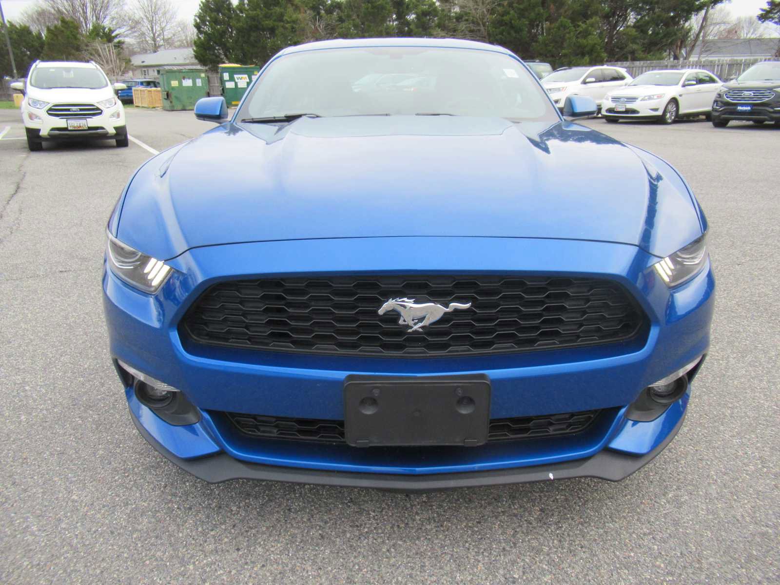 Used 2017 Ford Mustang EcoBoost image 2
