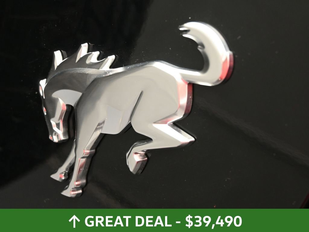 Used 2025 Ford Bronco Big Bend image 19