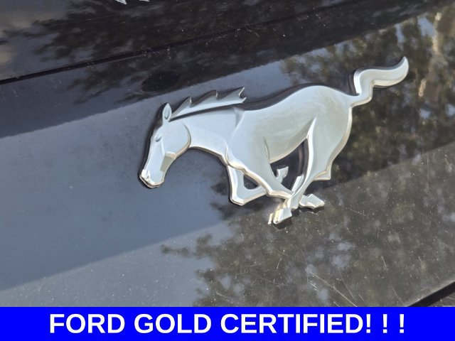 Used 2024 Ford Mustang Premium RWD image 13