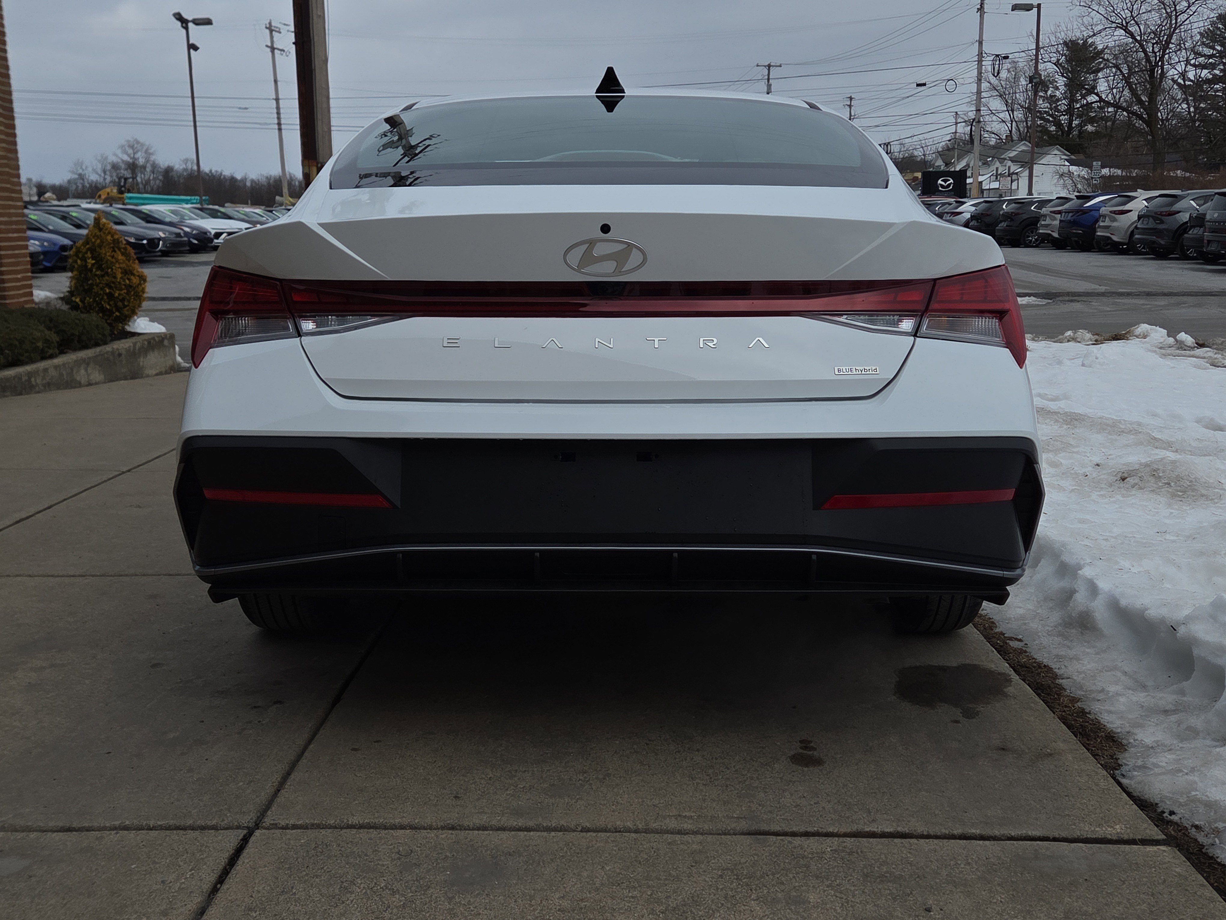 New 2026 Hyundai Elantra Blue image 4