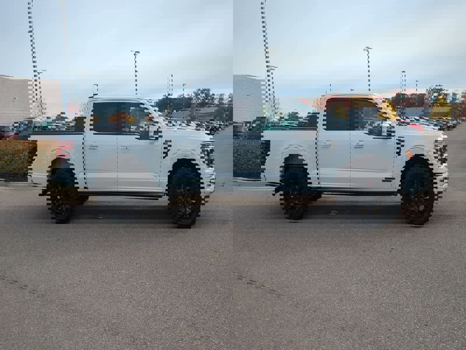 Used 2025 Ford F150 Platinum w/ Equipment Group 702A High image 9