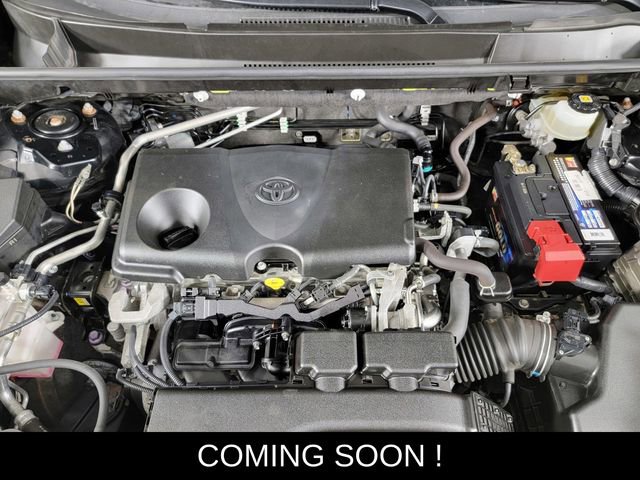 Used 2019 Toyota RAV4 Limited w/ All Weather Liner Package image 37