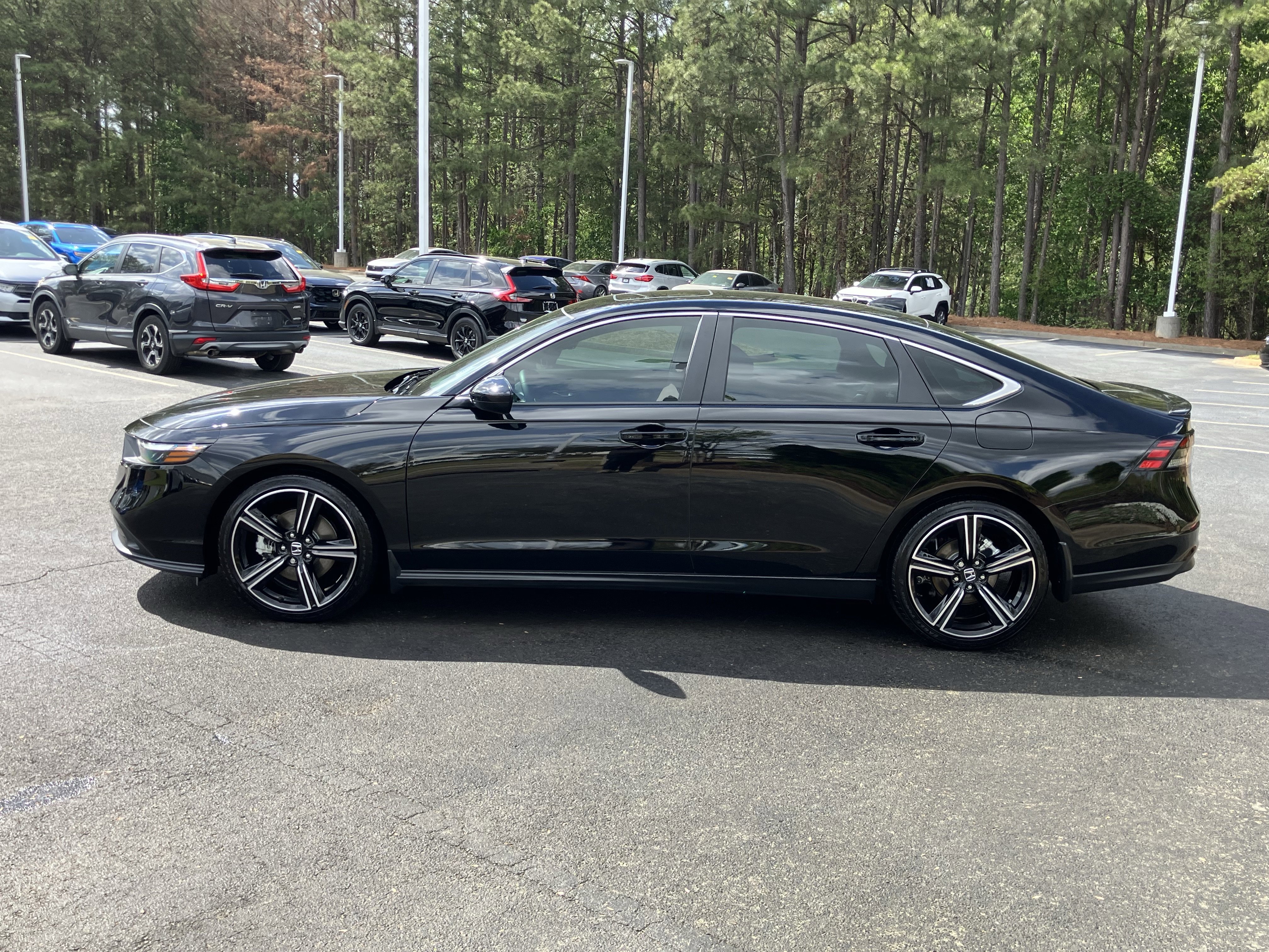 Used 2025 Honda Accord Sport image 7