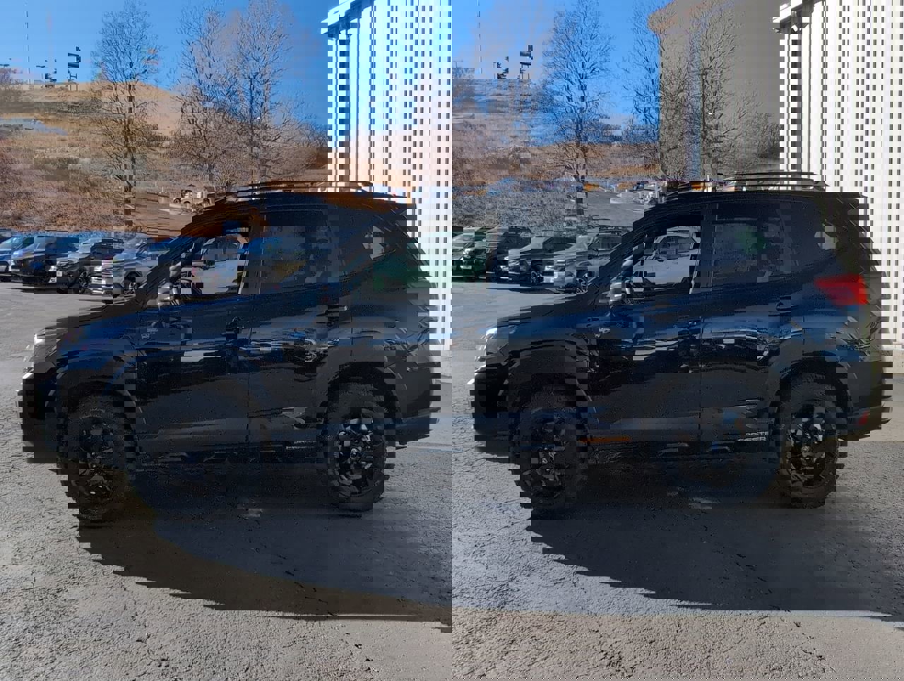 Used 2022 Subaru Forester Wilderness image 4