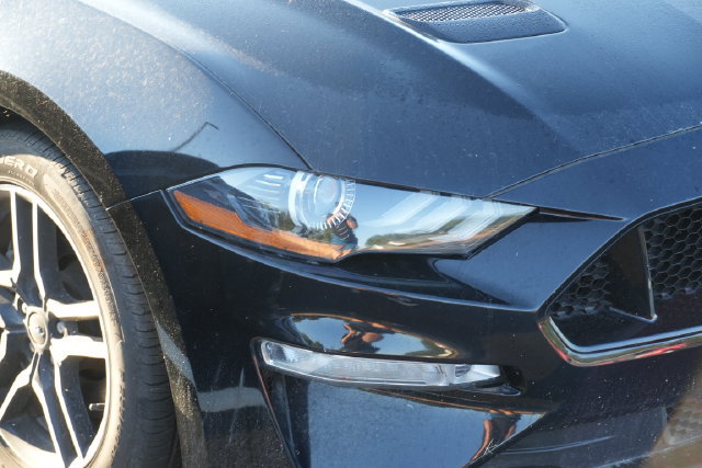 Used 2019 Ford Mustang GT Premium w/ Equipment Group 401A RWD image 4