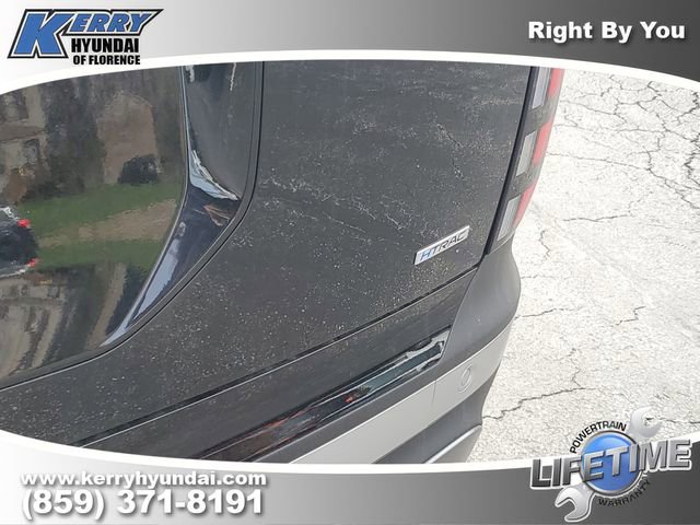 New 2026 Hyundai Palisade SEL image 7