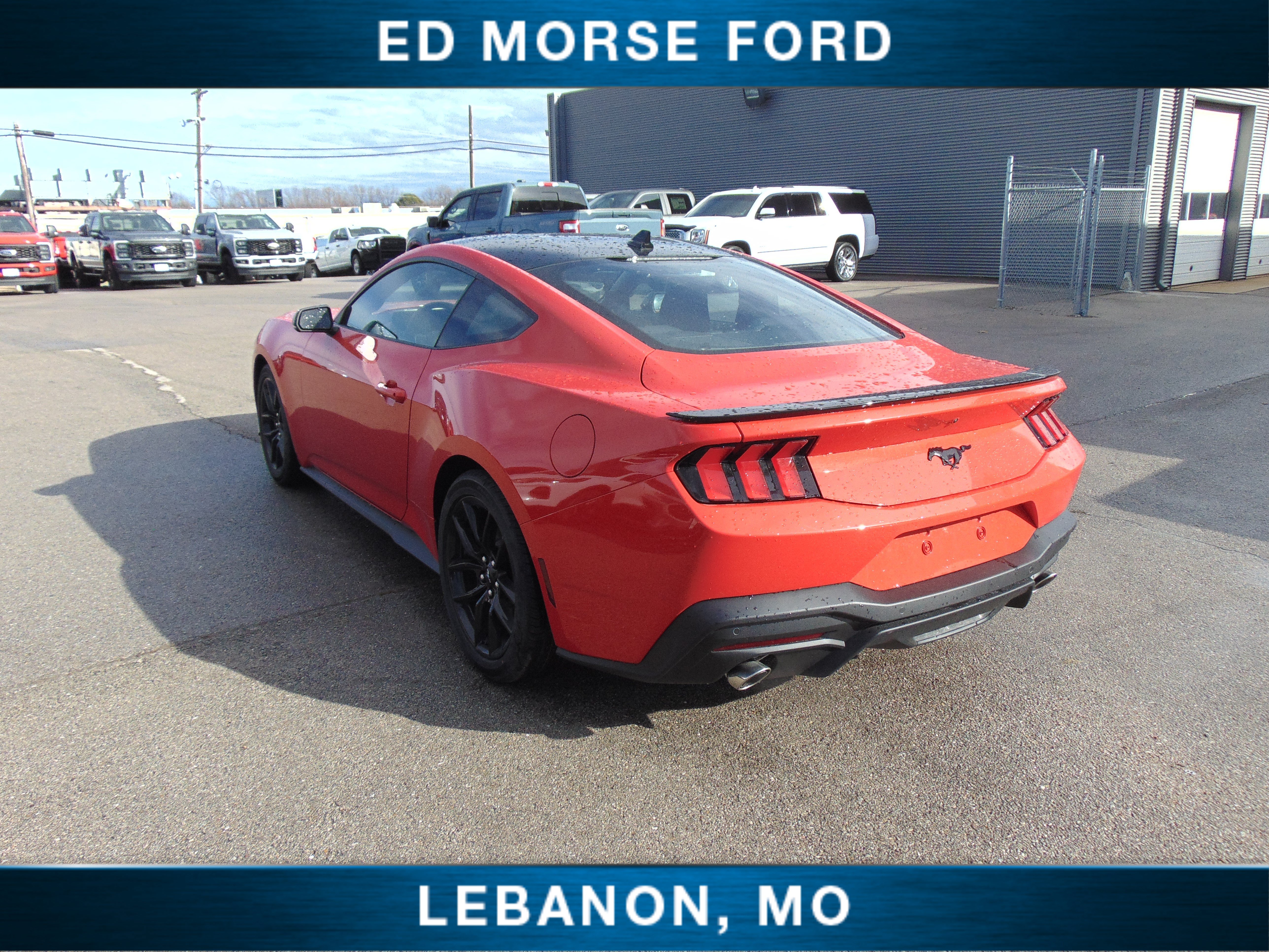 New 2026 Ford Mustang Premium RWD image 8