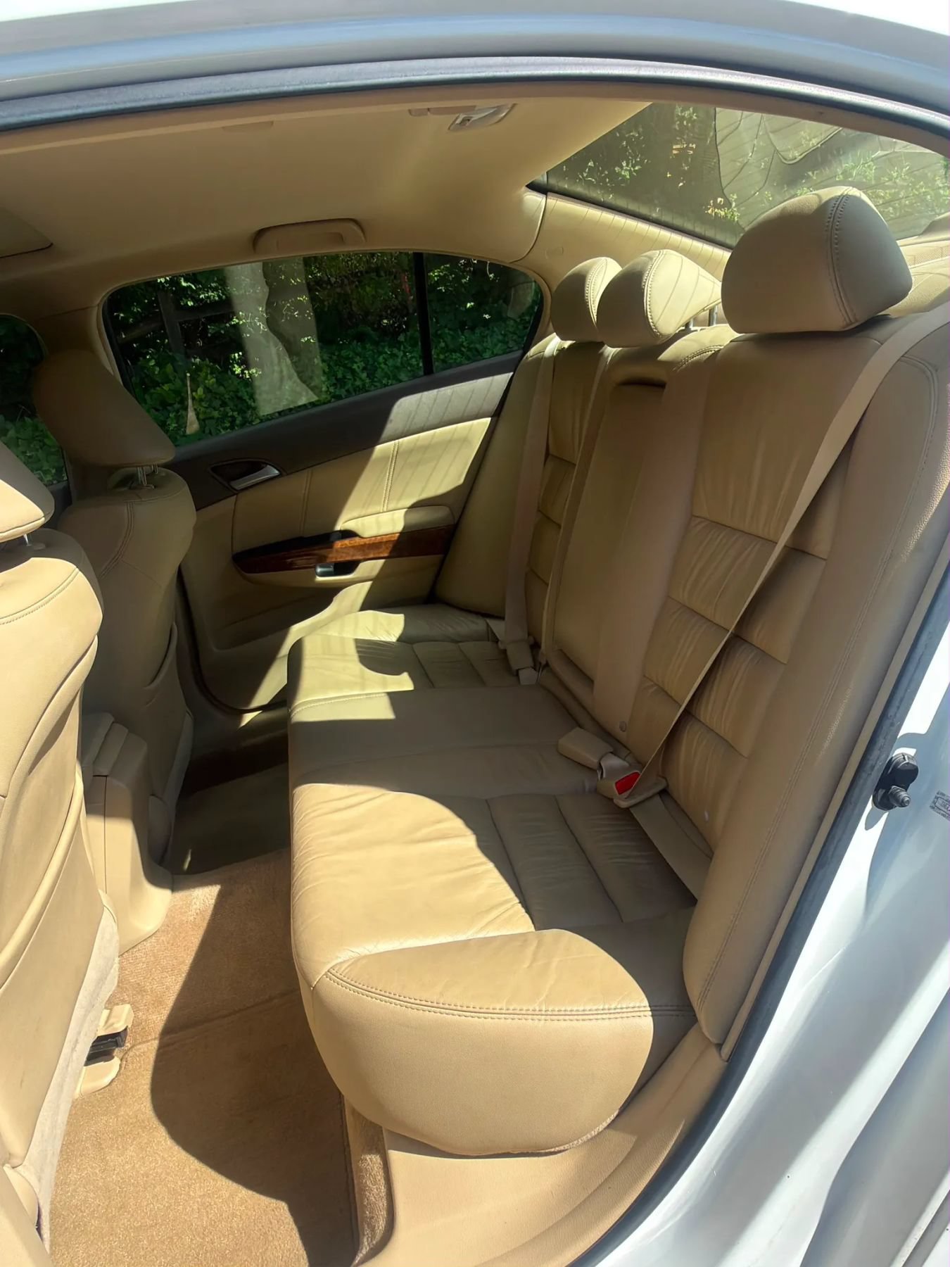 Used 2009 Honda Accord EX-L image 10