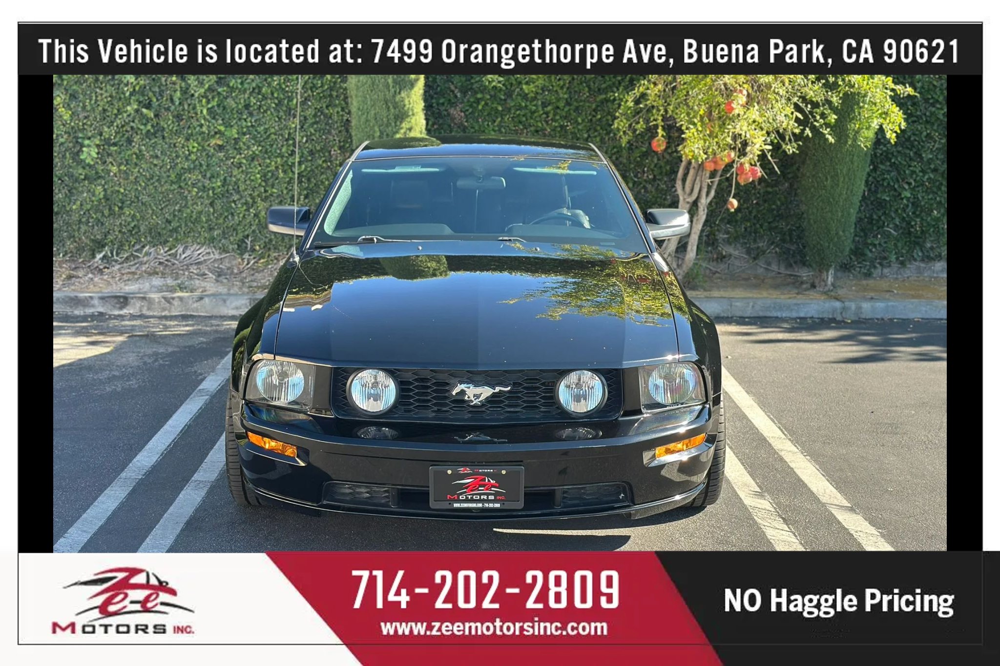 Used 2006 Ford Mustang GT RWD image 3