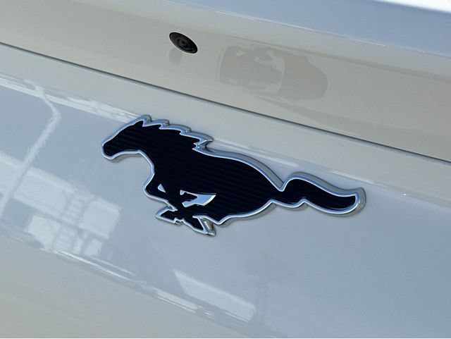 New 2026 Ford Mustang Mach-E Premium w/ Sport Appearance Package RWD image 35