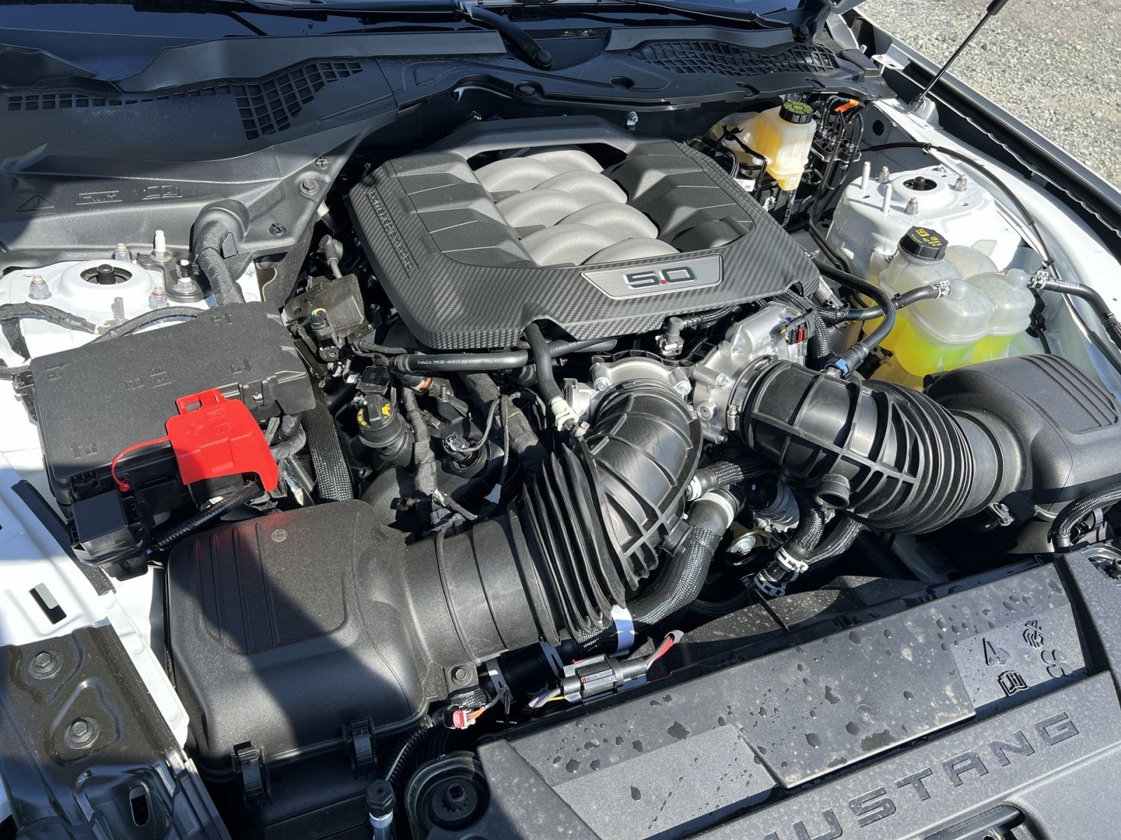 New 2026 Ford Mustang GT RWD image 25