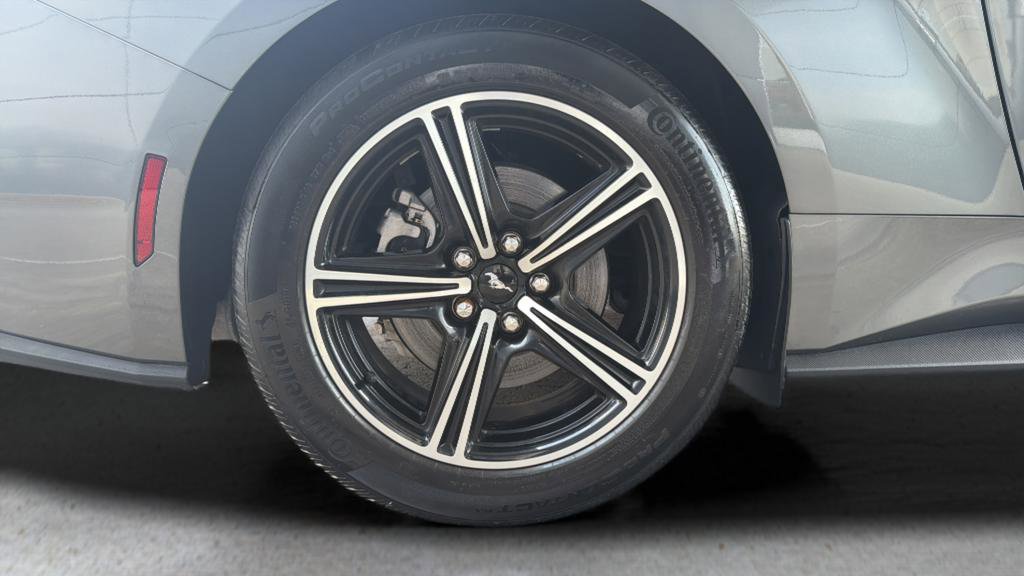 Used 2024 Ford Mustang Premium image 13