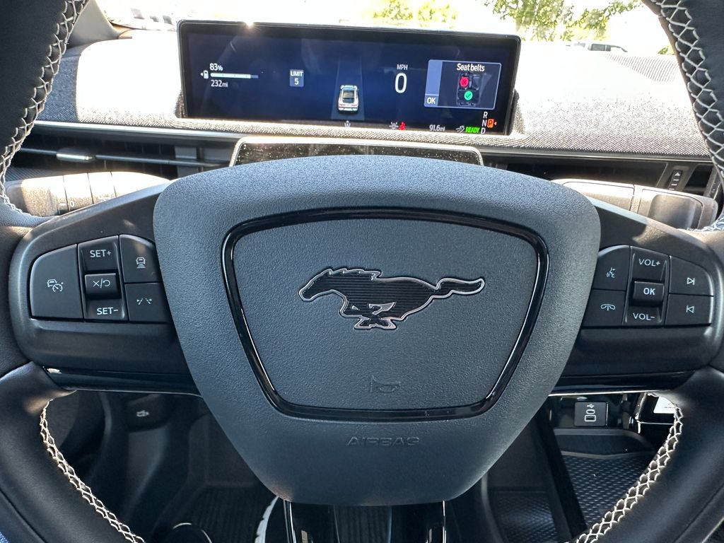 New 2025 Ford Mustang Mach-E GT w/ Interior Protection Package AWD/4WD image 23