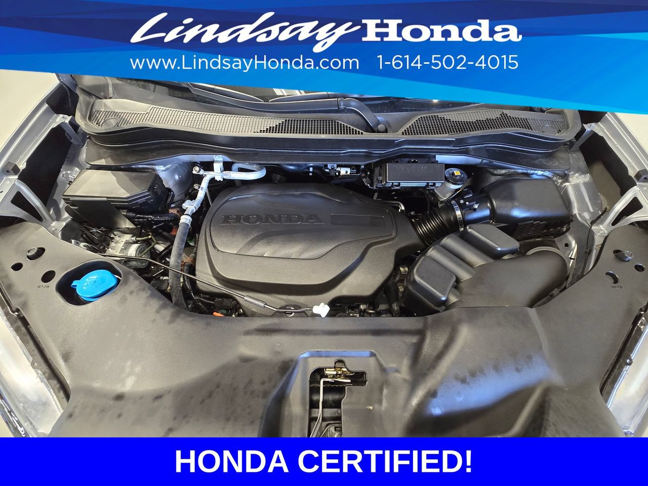 Certified 2025 Honda Passport TrailSport image 25