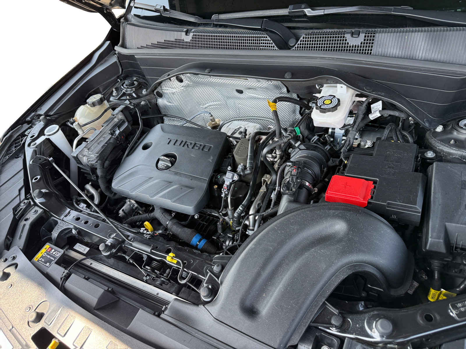 Used 2025 Chevrolet TrailBlazer LT image 13