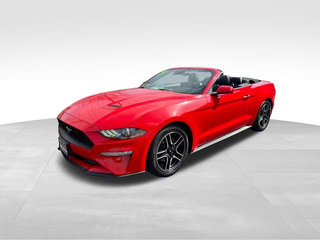 Used 2023 Ford Mustang Premium image 10