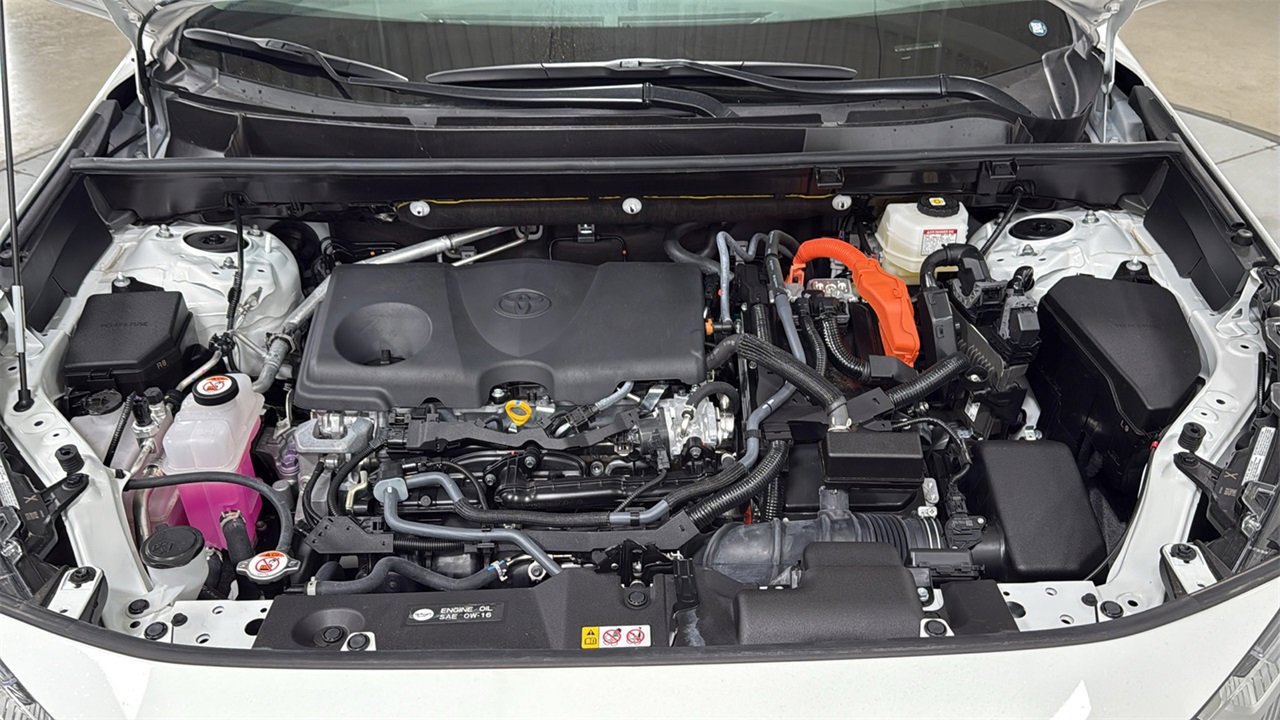 Certified 2025 Toyota RAV4 LE image 25