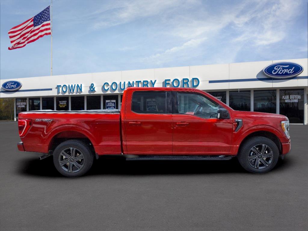 Used 2023 Ford F150 XLT w/ Equipment Group 302A High image 2