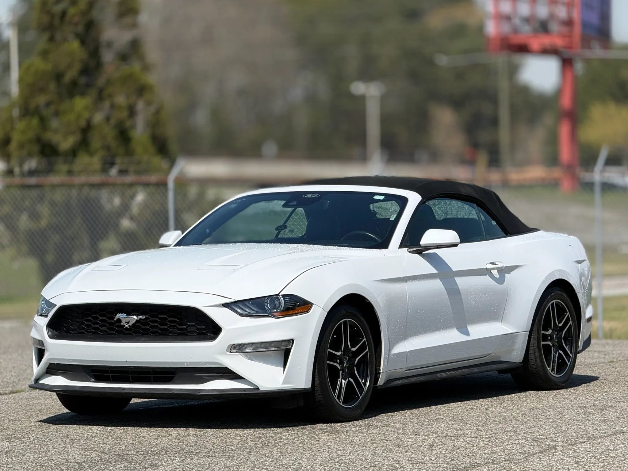 Used 2023 Ford Mustang Premium RWD image 6