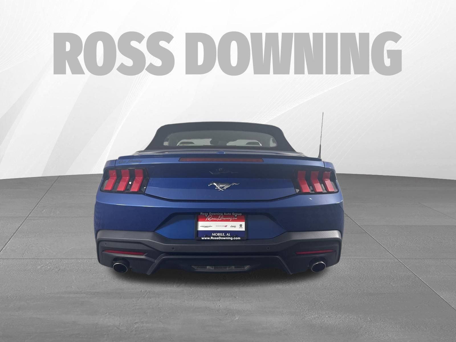 Used 2024 Ford Mustang Premium image 5