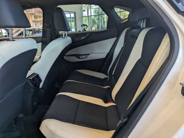 Certified 2024 Lexus NX 350h AWD w/ Cold Area Package image 11