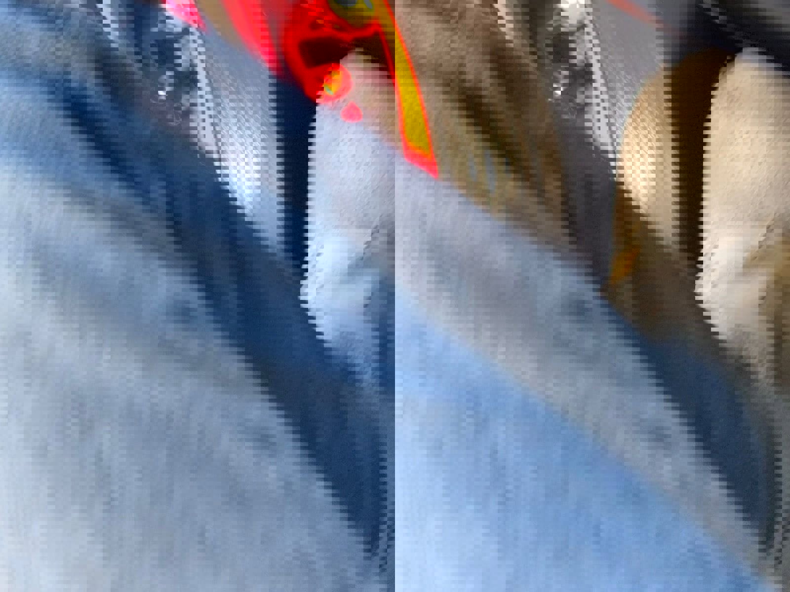 Used 2023 Dodge Challenger R/T Scat Pack w/ Scat Pack Stripe image 22