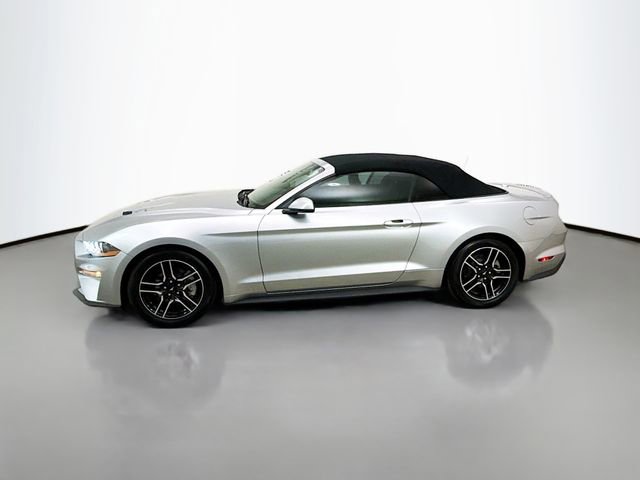 Used 2020 Ford Mustang Premium image 4