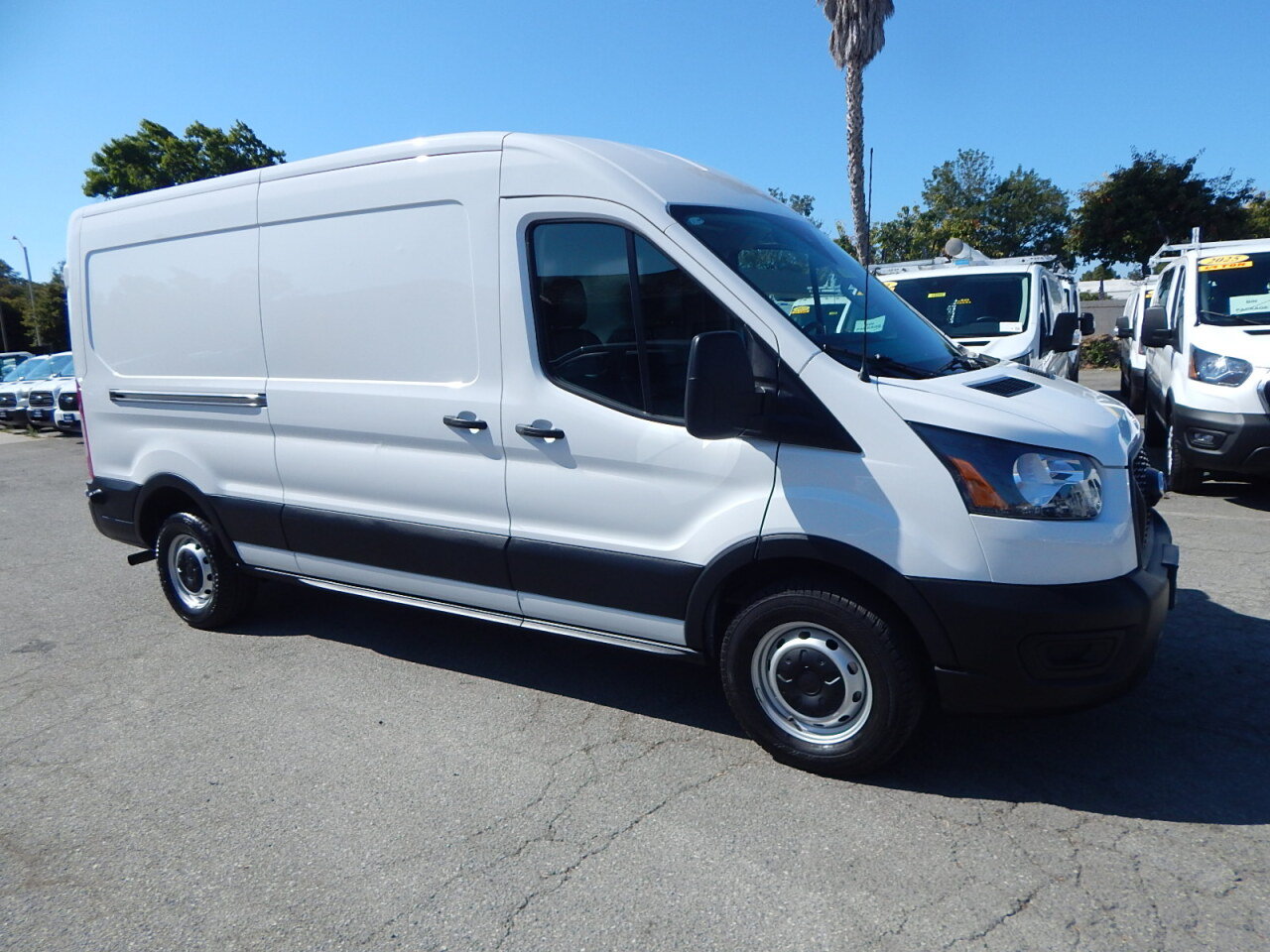 Used 2025 Ford Transit 250 148 Medium Roof RWD image 9