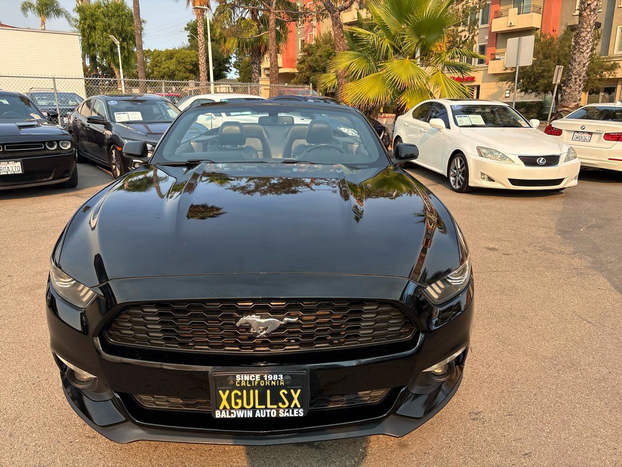 Used 2016 Ford Mustang Premium RWD image 2