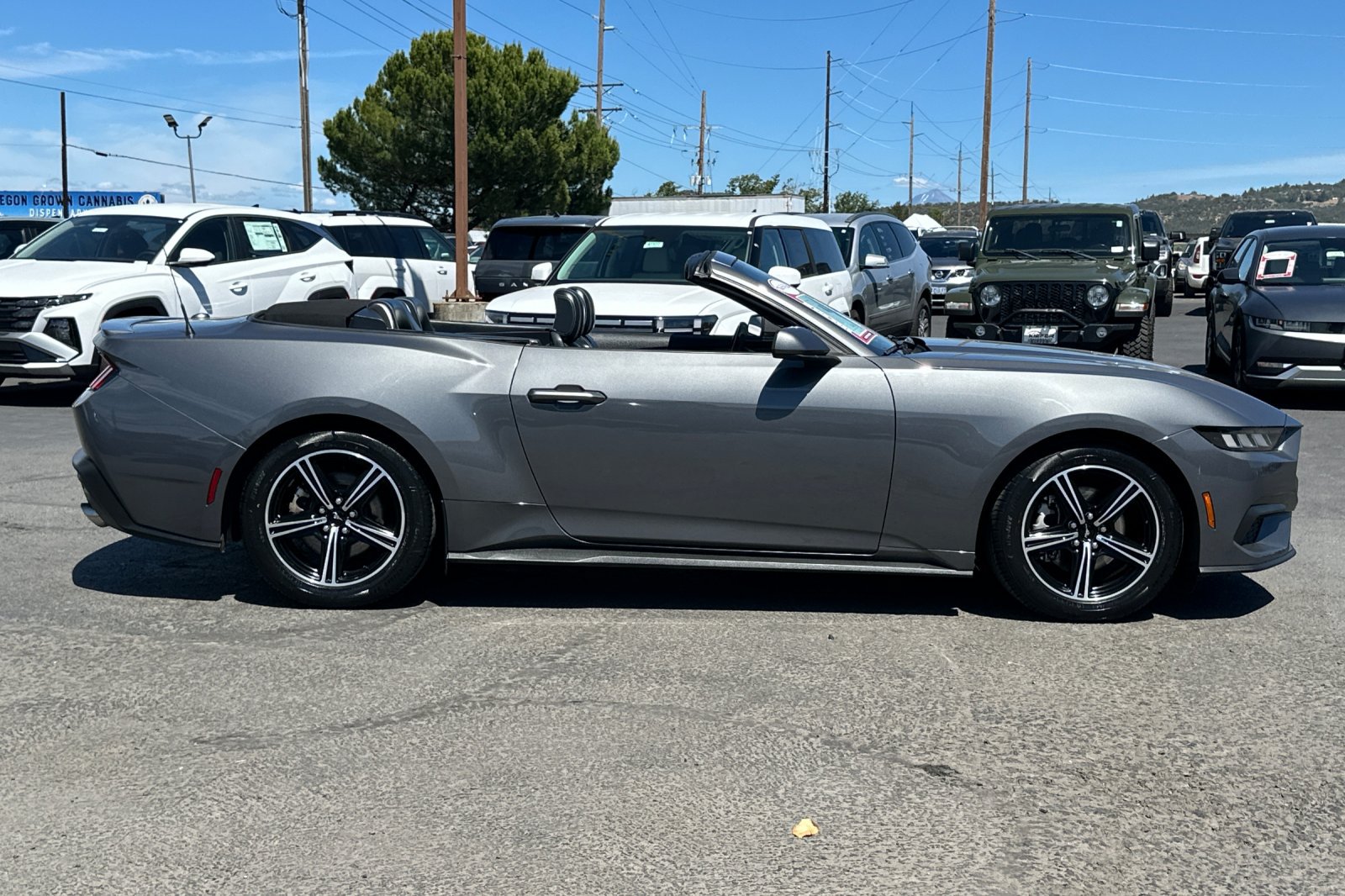 Used 2024 Ford Mustang Premium RWD image 4