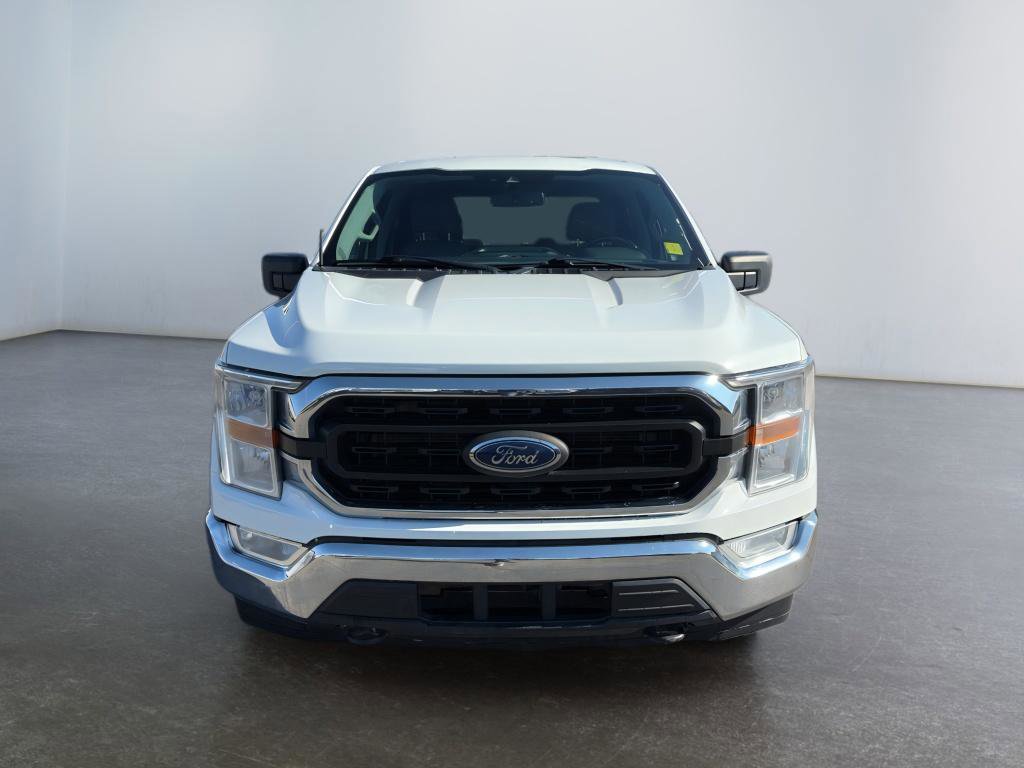 Used 2022 Ford F150 XLT w/ Equipment Group 301A Mid image 8