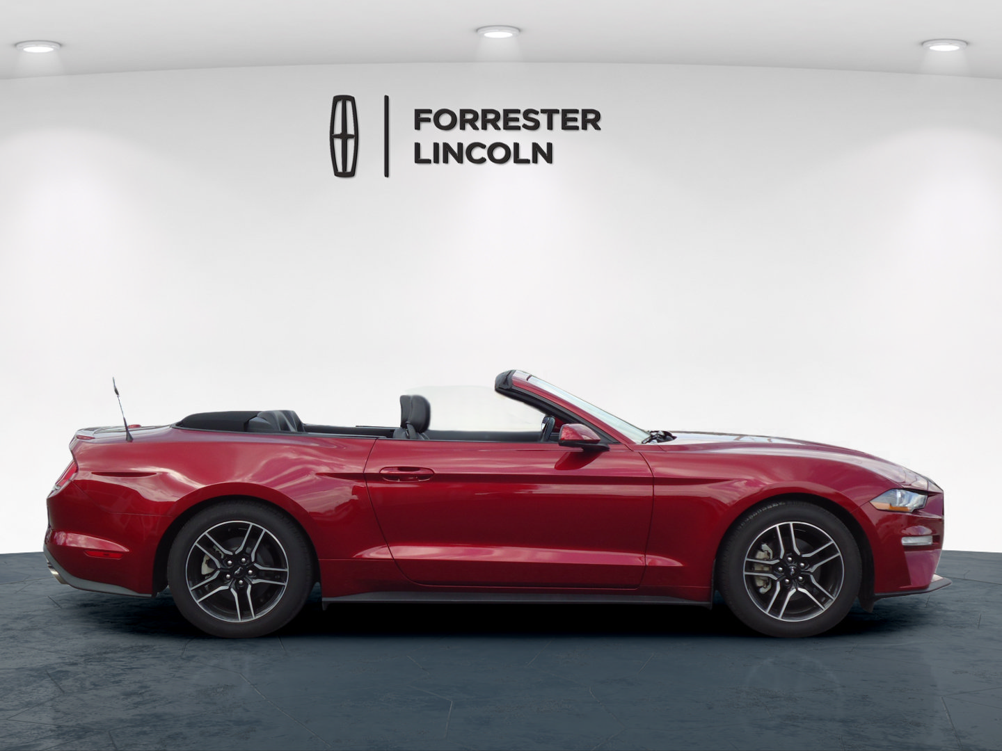 Used 2019 Ford Mustang Premium w/ Equipment Group 201A RWD image 2