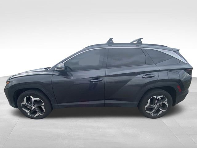 Used 2023 Hyundai Tucson Limited image 4