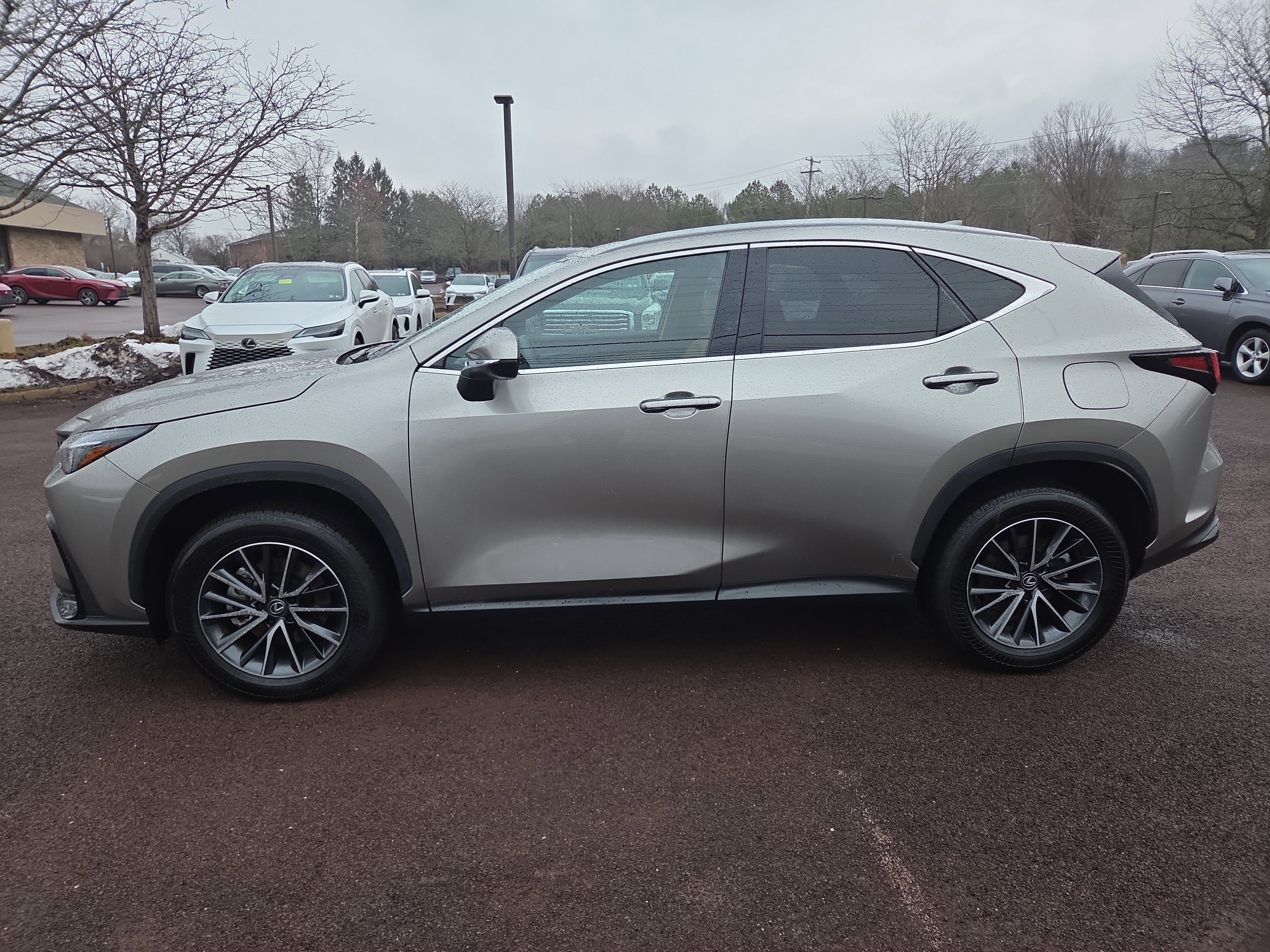 Certified 2025 Lexus NX 350 AWD w/ Accessory Package (2T) image 6