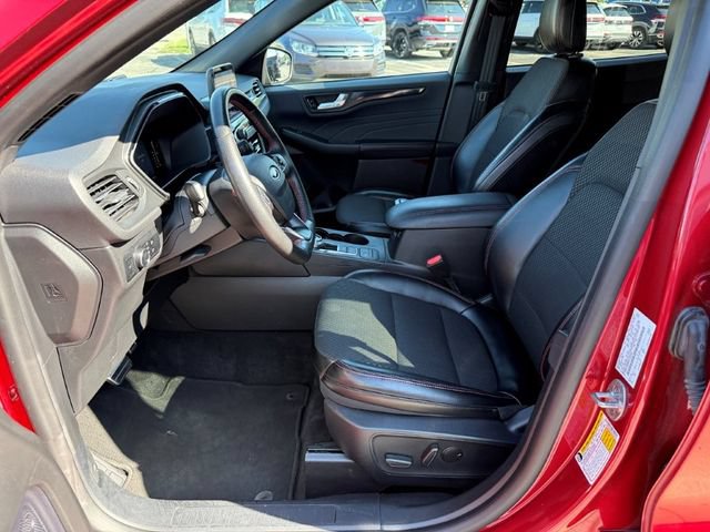 Used 2024 Ford Escape ST-Line AWD/4WD image 13