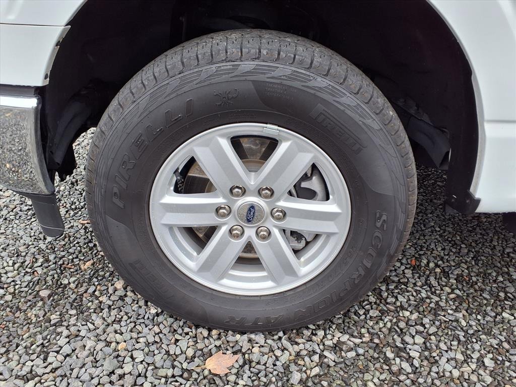 Used 2023 Ford F150 XL w/ Trailer Tow Package image 5