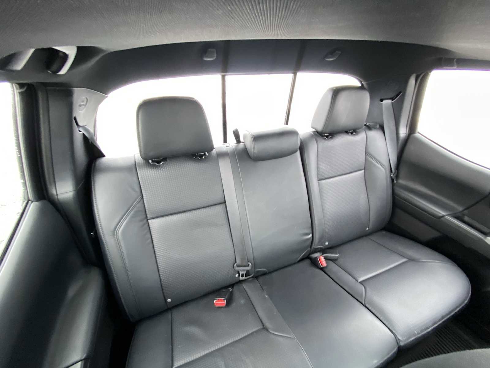 Used 2023 Toyota Tacoma Limited w/ Black Out Package (TMS) image 16