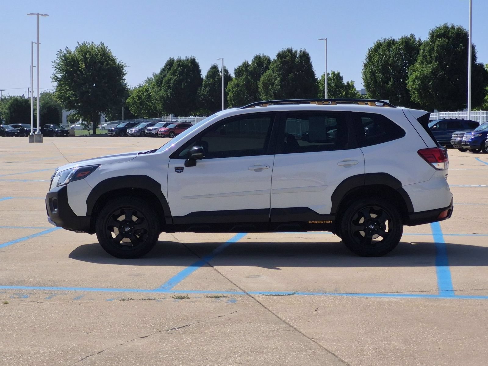 Used 2022 Subaru Forester Wilderness AWD/4WD image 9